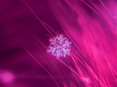 Kar tanesi güzel renkli arka plan makro üzerinde