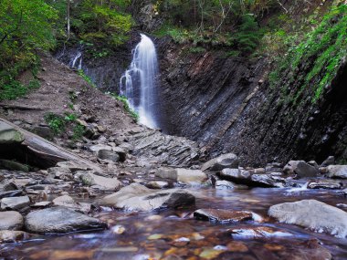 Karpat orman şelale