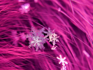 Kar tanesi güzel renkli arka plan makro üzerinde