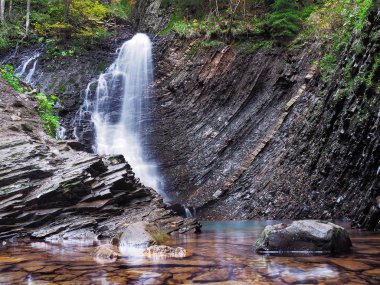 Karpat orman şelale