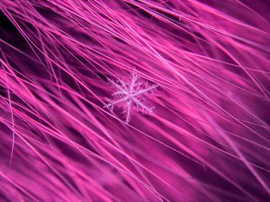 Kar tanesi güzel renkli arka plan makro üzerinde