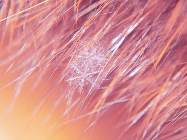 Kar tanesi güzel renkli arka plan makro üzerinde