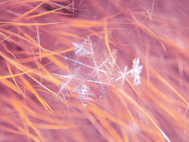 Kar tanesi güzel renkli arka plan makro üzerinde