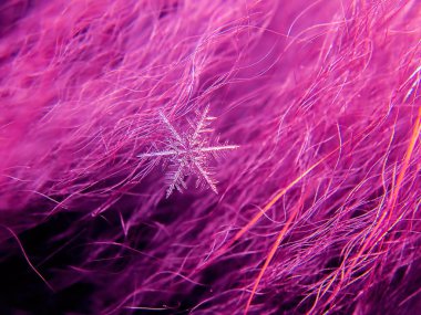 Kar tanesi güzel renkli arka plan makro üzerinde