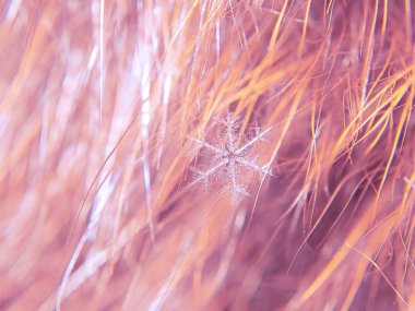 Kar tanesi güzel renkli arka plan makro üzerinde