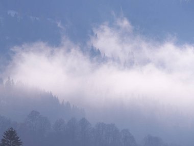 Sis Carpatian Dağları 