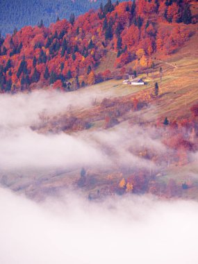 Güneşli sisli gün dağ köyünde Carpatian