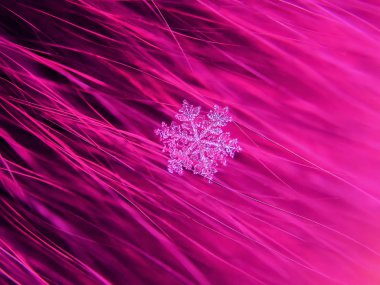 Kar tanesi güzel renkli arka plan makro üzerinde