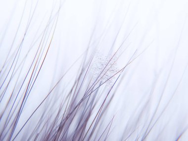 Kar tanesi güzel renkli arka plan makro üzerinde