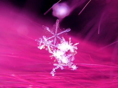 Kar tanesi güzel renkli arka plan makro üzerinde