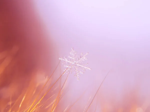 Snowflake Beautifull Colorful Background Macro — Stock Photo, Image