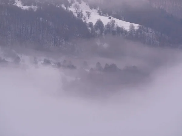 Montañas Carpatian Niebla —  Fotos de Stock