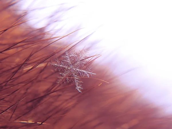 Schneeflocke Schön Auf Dem Bunten Hintergrund Makro — Stockfoto