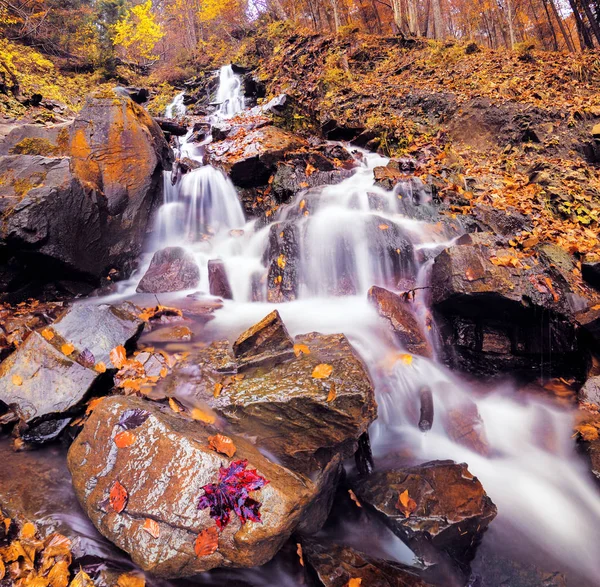 Cascata Nella Foresta Autunnale — Foto Stock