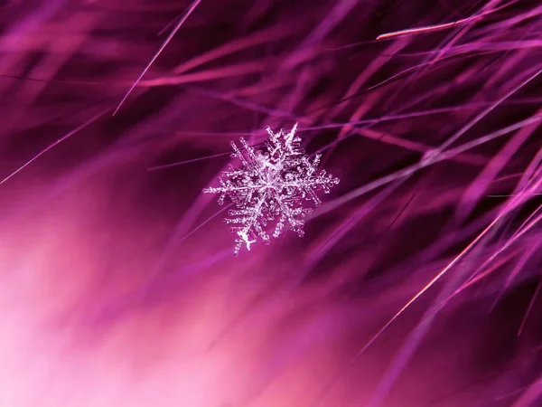 Krásná Sněhová Vločka Makro Barevné Pozadí — Stock fotografie