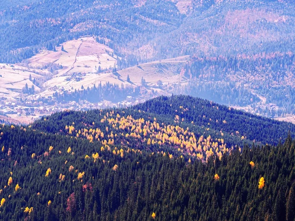 晴れた日に山で Carpatian — ストック写真