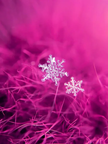 Krásná Sněhová Vločka Makro Barevné Pozadí — Stock fotografie