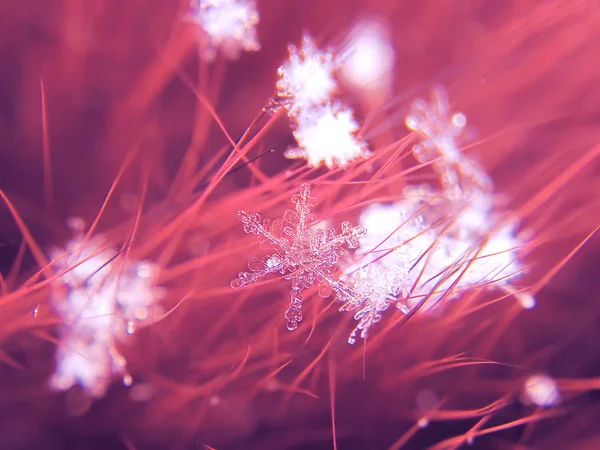 Снежинка Цветном Фоне — стоковое фото