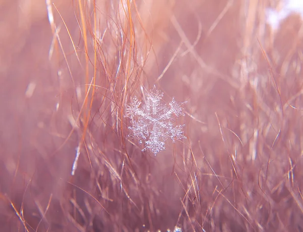 Сніжинка Красива Барвистому Фоні Макрос — стокове фото