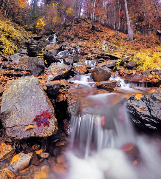 Cascata Nella Foresta Autunnale — Foto Stock