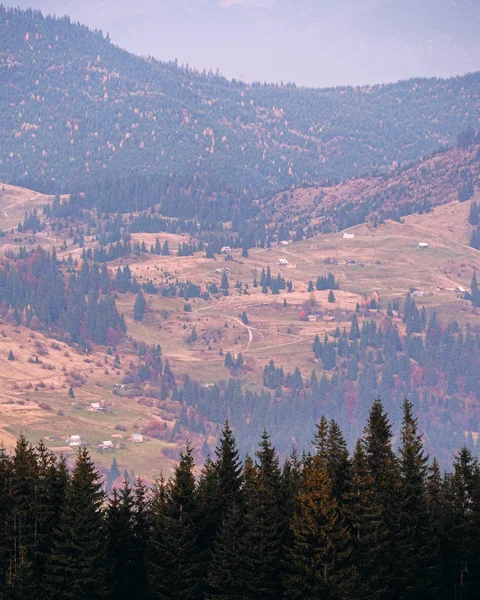 Karpatisches Dorf Den Bergen Sonnigen Tag — Stockfoto