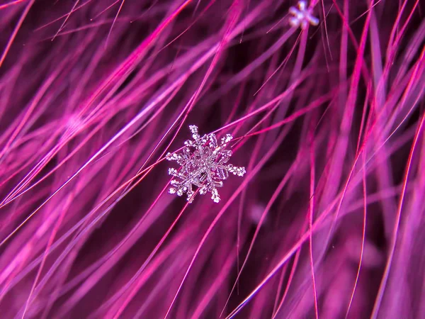 Krásná Sněhová Vločka Makro Barevné Pozadí — Stock fotografie