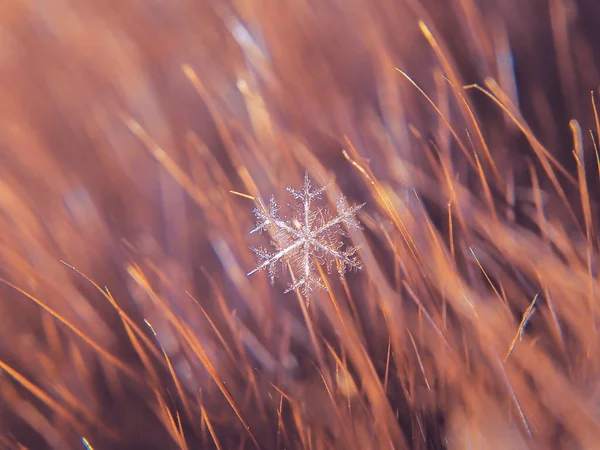 Schneeflocke Schön Auf Dem Bunten Hintergrund Makro — Stockfoto