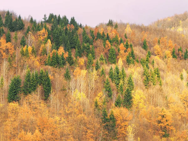 Karpatisches Dorf Den Bergen Sonnigen Tag — Stockfoto