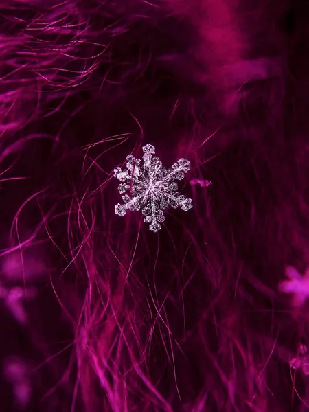Krásná Sněhová Vločka Makro Barevné Pozadí — Stock fotografie