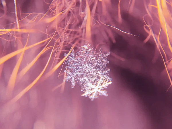 Schneeflocke Schön Auf Dem Bunten Hintergrund Makro — Stockfoto