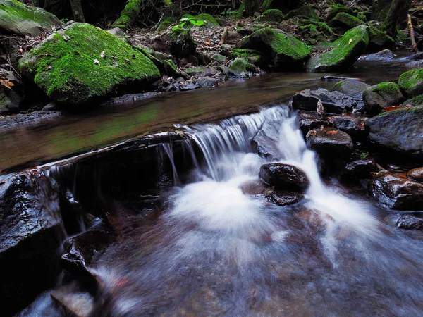 Karpat orman şelale