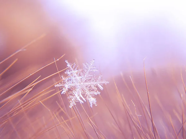 Schneeflocke Schön Auf Dem Bunten Hintergrund Makro — Stockfoto