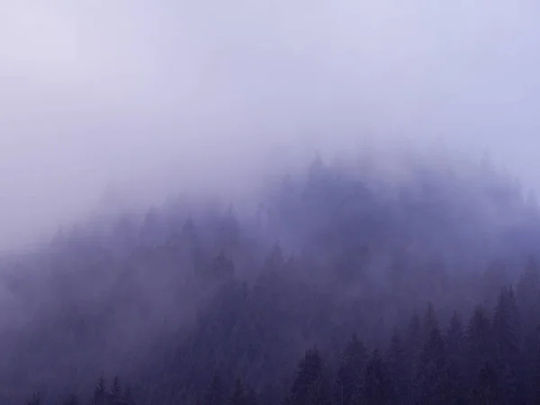 Montagne Carpatiche Nella Nebbia — Foto Stock