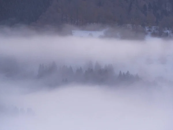Montañas Carpatian Niebla —  Fotos de Stock