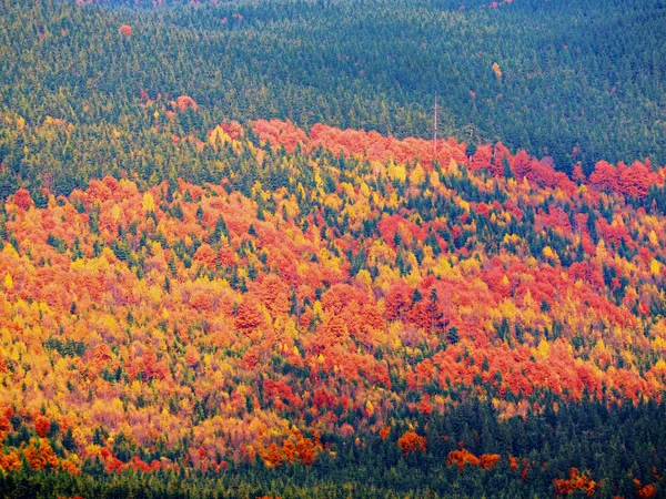 Aldeia Carpatian Montanhas Dia Ensolarado — Fotografia de Stock