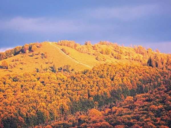 Villaggio Carpatico Montagna Nella Giornata Sole — Foto Stock