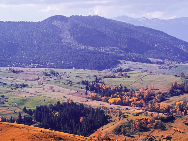 Carpatian Village Mountains Sunny Day — Stock Photo, Image