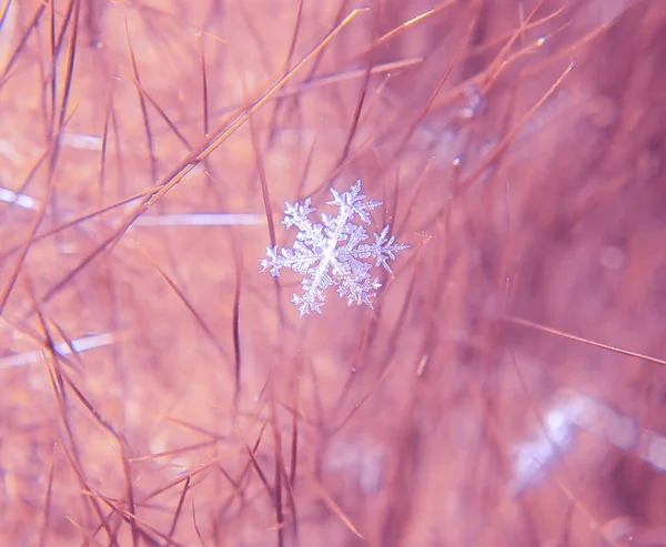 Beautifull Śnieżynka Makro Kolorowe Tło — Zdjęcie stockowe