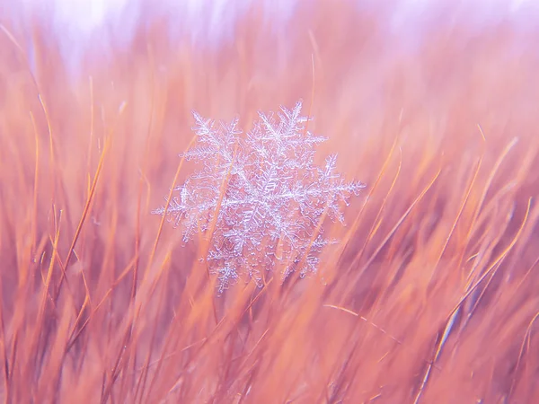 Schneeflocke Schön Auf Dem Bunten Hintergrund Makro — Stockfoto