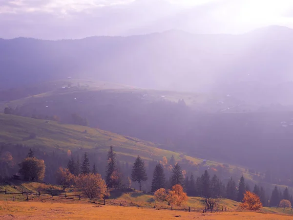 Karpatische Berge Nebel — Stockfoto