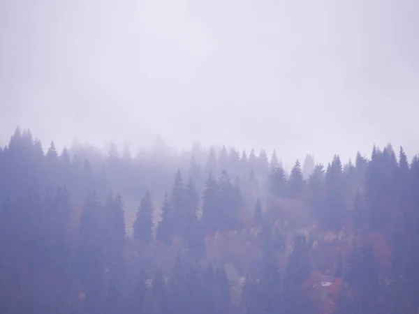 Montagne Carpatiche Nella Nebbia — Foto Stock