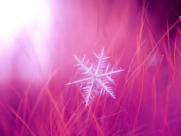 Сніжинка Красива Барвистому Фоні Макрос — стокове фото