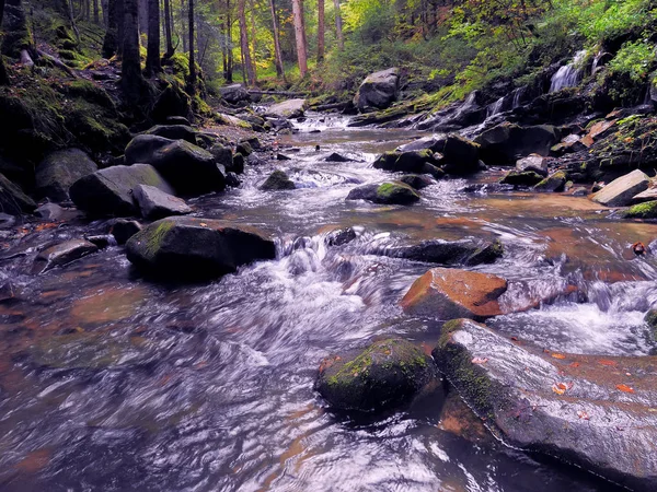 Водоспад Карпатському Лісі — стокове фото