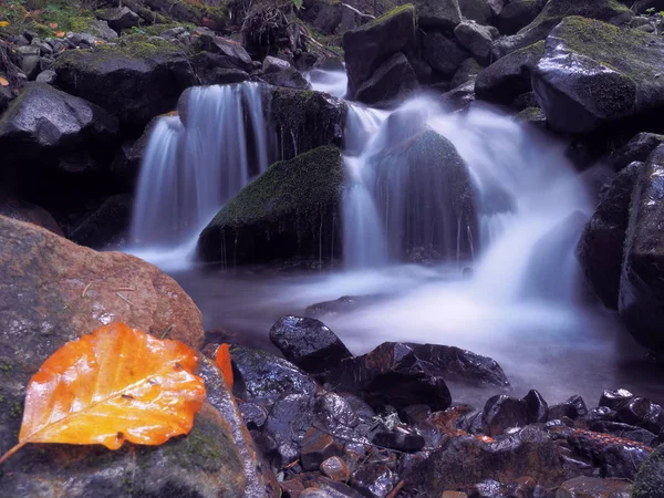 Cascata Nella Foresta Carpatica — Foto Stock