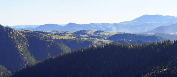 Nevoeiro Floresta Nas Montanhas — Fotografia de Stock