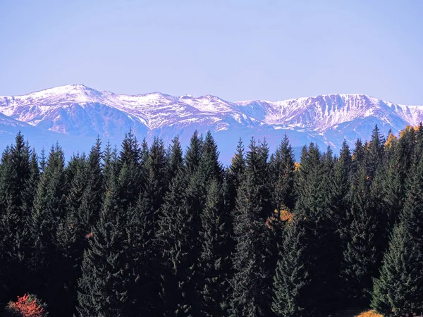 Villaggio Carpatico Montagna Nella Giornata Sole — Foto Stock