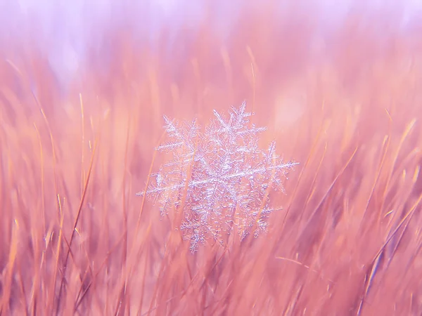Beautifull Śnieżynka Makro Kolorowe Tło — Zdjęcie stockowe