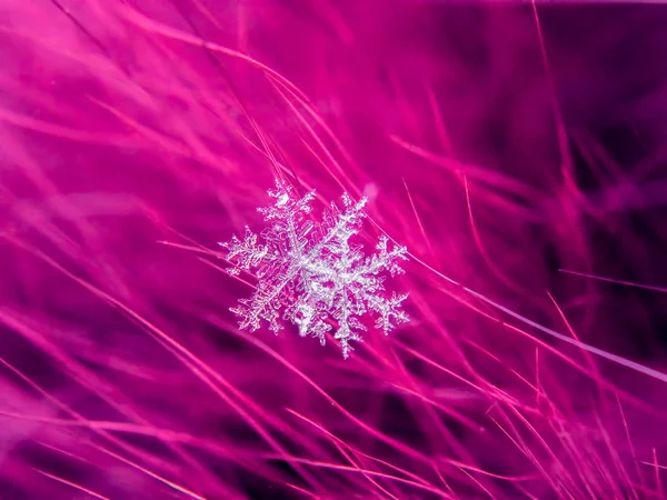 Schneeflocke Schön Auf Dem Bunten Hintergrund Makro — Stockfoto