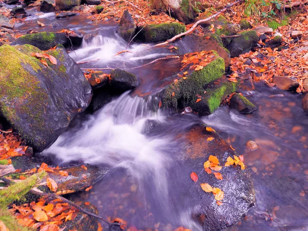 Wasserfall Karpatenwald — Stockfoto