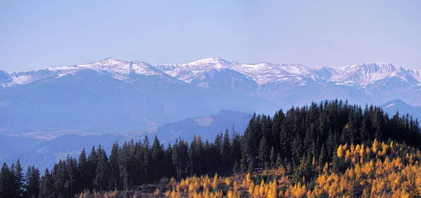 Yellow Autumn Forest Snow Mountains — Stock Photo, Image